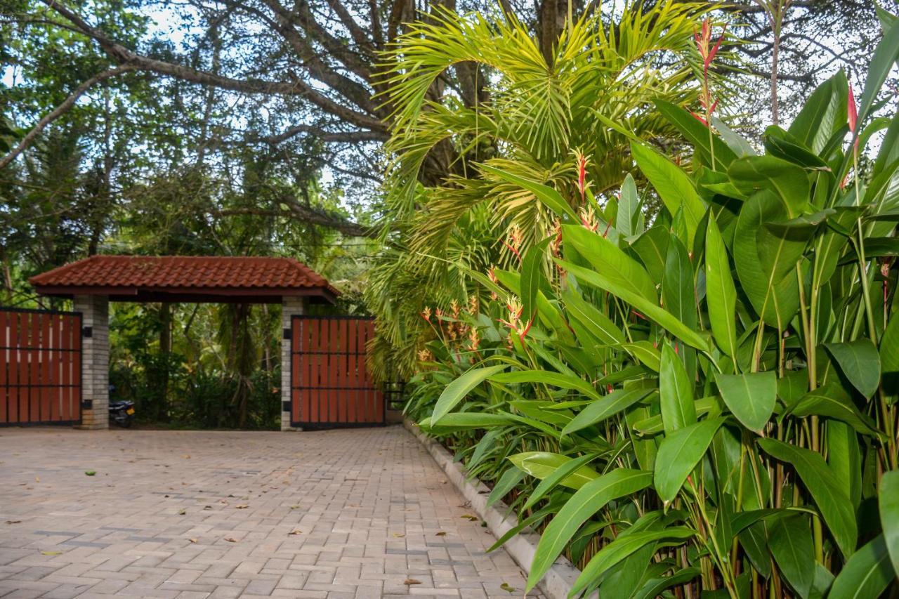 Goyambokka Guesthouse Tangalle Exterior foto