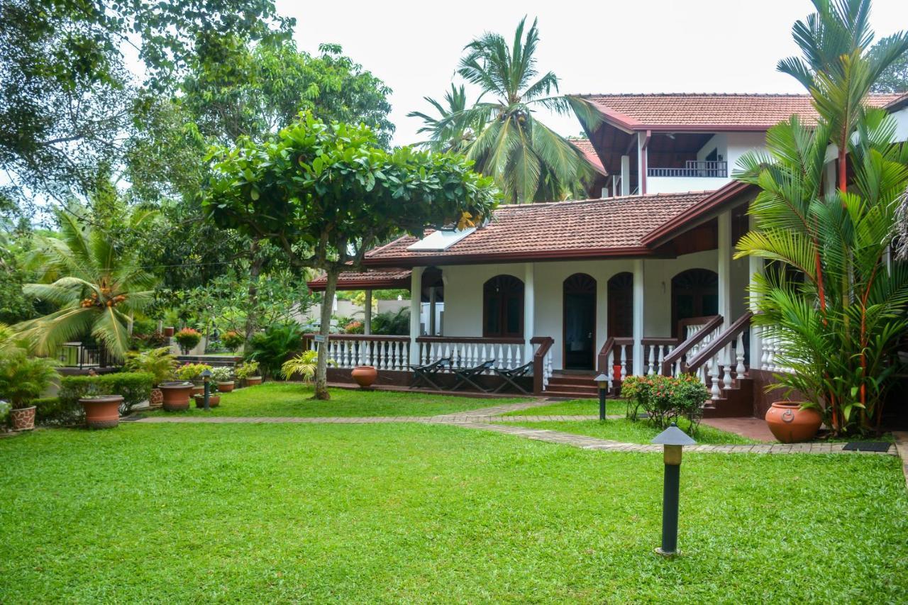 Goyambokka Guesthouse Tangalle Exterior foto