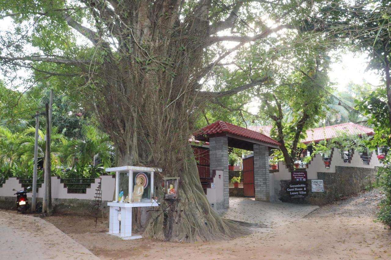 Goyambokka Guesthouse Tangalle Exterior foto